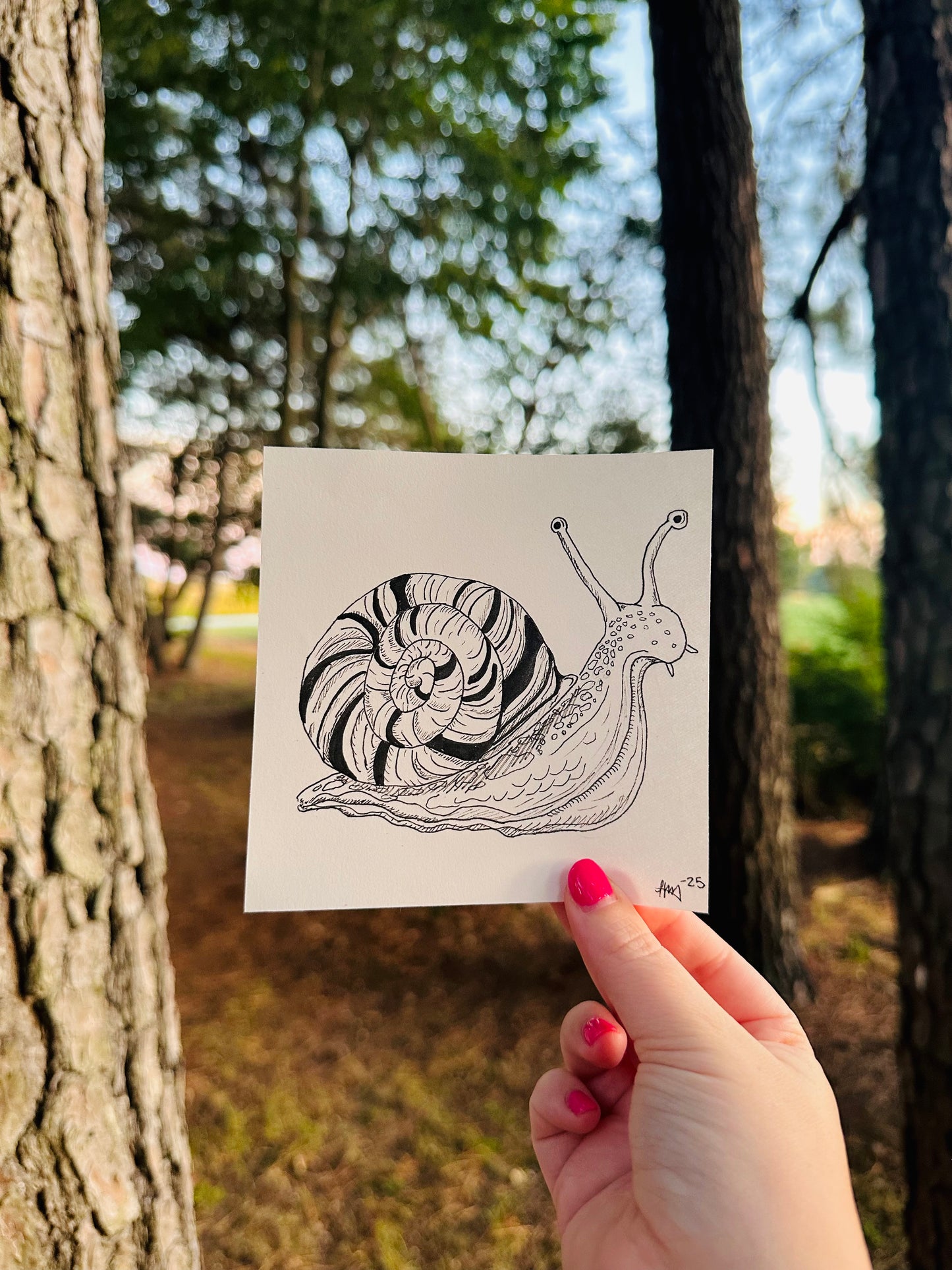 Original Snail Artwork