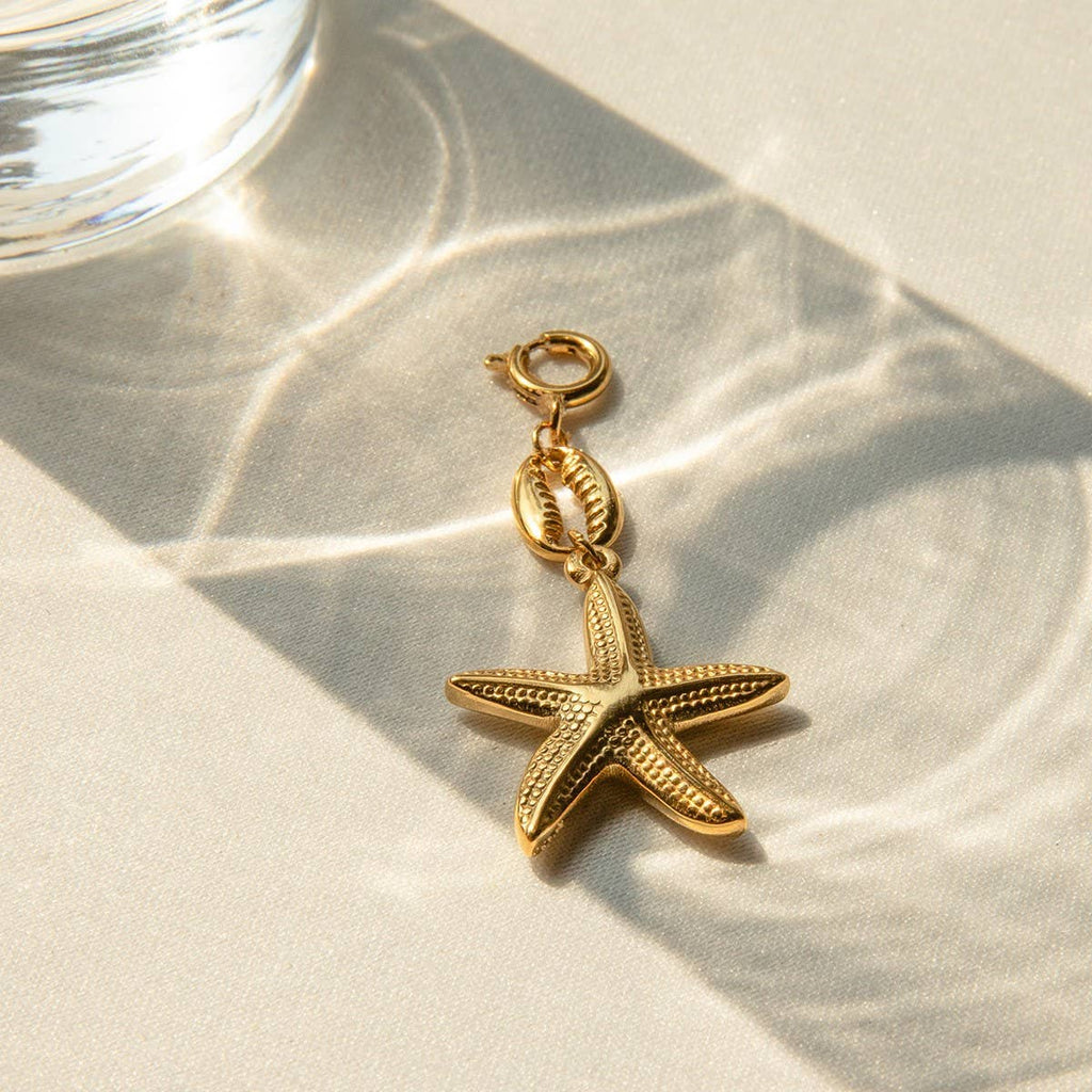 Bikini Charm Starfish Cowrie
